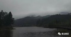 尖峰岭的妖艳玫瑰
