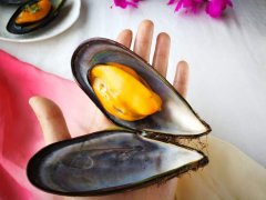 贝壳黏液祛疤不留痕